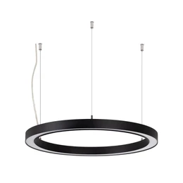 Фото #1 товара Светильник SP-CIRCLE-HANG-O3535-D500-30W Warm3000 (RAL9005, 120 deg, 230V) IP40 LED (Arlight, Алюминий)