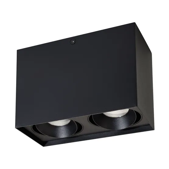 Фото #1 товара Светильник SP-CUBUS-S100x200-2x11W Warm3000 (BK, 40 deg, 230V) (Arlight, IP20 Металл, 3 года)