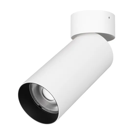Фото #1 товара Светильник SP-GABI-SURFACE-FLAP-R60-12W Warm3000 (WH, 36 deg, 230V) (Arlight, IP40 Металл, 5 лет)