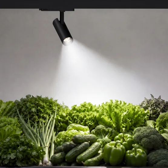 Фото #2 товара Светильник LGD-GERA-4TR-R90-30W Day SP5000-Veg (Черный, 55 deg, 230V) (Arlight, IP20 Металл, 5 лет)