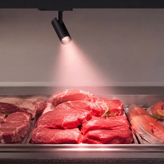 Фото #2 товара Светильник LGD-GERA-4TR-R90-30W Warm SP2900-Meat (Черный, 15 deg, 230V) (Arlight, IP20 Металл, 5 лет)