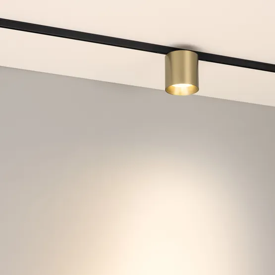 Фото #2 товара Светильник MAG-MICROCOSM-POINT-R68-7W Warm3000 (BR, 36 deg, 24V) (Arlight, IP20 Металл, 5 лет)