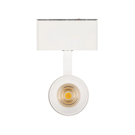 Фото #2 товара Светильник MAG-SPOT-45-R85-12W Day4000 (WH, 36 deg, 24V) (Arlight, IP20 Металл, 5 лет)