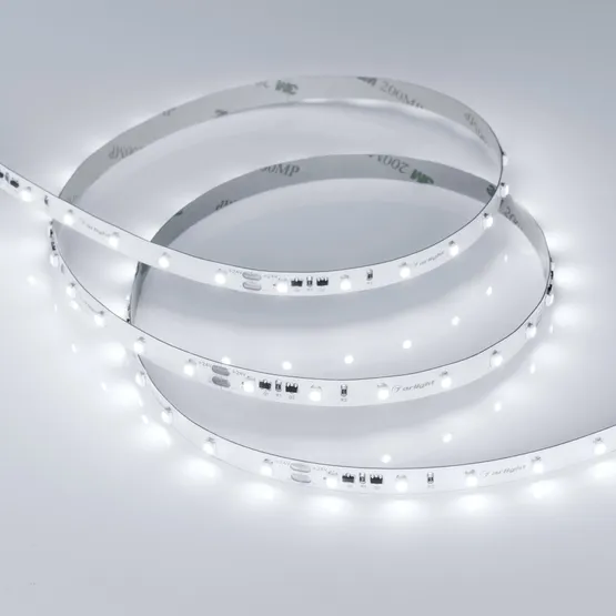 Фото #4 товара Светодиодная лента RT-10000 24V White5500 (3528, 60 LED/m, 10m) (Arlight, 4.8 Вт/м, IP20)