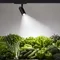 Минифото #2 товара Светильник LGD-GERA-4TR-R90-30W Day SP5000-Veg (Черный, 55 deg, 230V) (Arlight, IP20 Металл, 5 лет)
