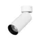 Минифото #1 товара Светильник SP-GABI-SURFACE-FLAP-R50-9W Day4000 (WH, 60 deg, 230V) (Arlight, IP40 Металл, 5 лет)