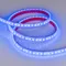 Минифото #4 товара Светодиодная лента RTW 2-5000PGS 12V Blue 2x (3528, 600 LED) (Arlight, 9.6 Вт/м, IP67)
