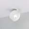 Минифото #1 товара Светильник SP-PLURIO-BUILT-R77-9W Day4000 (WH-WH, 36 deg, 230V) (Arlight, IP20 Металл, 3 года)