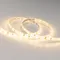 Минифото #2 товара Светодиодная лента RTW 2-5000SE 12V Warm (3528, 300 LED, LUX) (Arlight, 4.8 Вт/м, IP65)