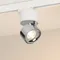 Минифото #1 товара Светильник SP-PLURIO-TRACK-4TR-R77-9W Warm3000 (WH-CHR, 36 deg, 230V) (Arlight, IP20 Металл, 3 года)