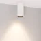 Минифото #2 товара Светильник SP-GABI-SURFACE-R60-12W Warm3000 (WH, 36 deg, 230V) (Arlight, IP40 Металл, 5 лет)