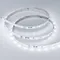 Минифото #4 товара Светодиодная лента RT-10000 24V White5500 (3528, 60 LED/m, 10m) (Arlight, 4.8 Вт/м, IP20)