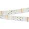 Минифото #1 товара Светодиодная лента RT 2-5000 24V RGB-White 2x2 (5060, 720 LED, LUX) (Arlight, 32 Вт/м, IP20)