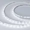 Минифото #2 товара Светодиодная лента RT-10000 24V White5500 (3528, 60 LED/m, 10m) (Arlight, 4.8 Вт/м, IP20)